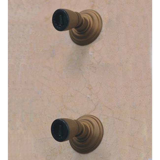 Herbeau ''Royale'' Adjustable Wall Body Spray in Weathered Brass